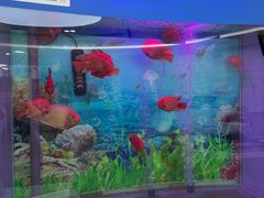 -雅悦齿科(顾村公园店)
