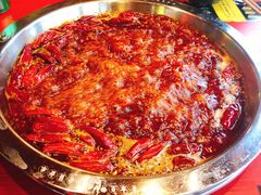 -谭鸭血老火锅(漳州路店)