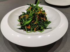 -采蝶轩