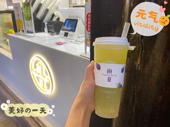 -树夏(锦里店)