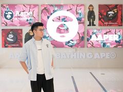 -岭南站NOVA