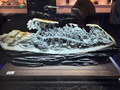 -湖南省地质博物馆