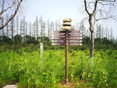 -上海长兴岛郊野公园