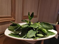 -海底捞火锅(番禺广场店)