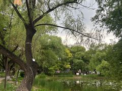 -万泉公园
