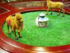 -大汗行宫园林餐厅