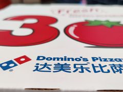 -达美乐比萨(墨玉南路店)