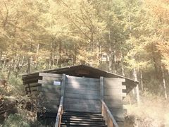 -苏木山森林公园