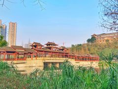 -重庆彩云湖湿地公园