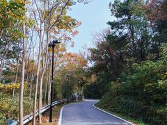 -青龙山国家森林公园