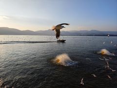 -海埂大坝