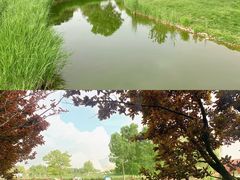 -安德鲁户外烧烤帐篷营地(马泉营店)