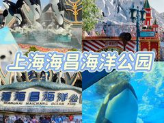-上海山野camping·户外天幕烧烤·团建拓展营地