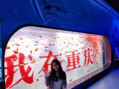 -重庆欢乐海底世界