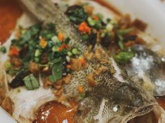 冬春榄角蒸鲈鱼-永記粤菜·五指毛桃花雕鸡煲(九亭店)
