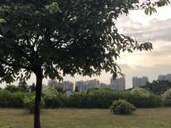 -南沙蒲洲花园