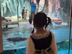 -帝企鹅自助餐厅•儿童岛•真企鹅(长隆企鹅酒店)