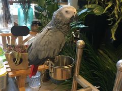 -森野花艺培训·企业团建活动沙龙