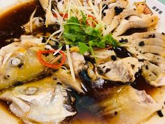 金鳟清蒸-京北渔家傲