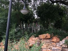 -黄村公园