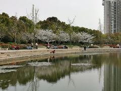 -新江湾城公园