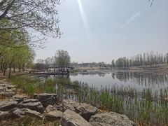 -马家湾湿地公园