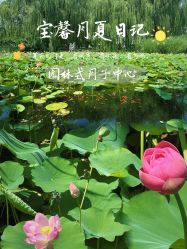 点击看大图 -宝馨月月子中心(友谊医院店)