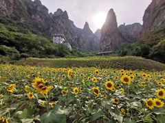 -神农山景区