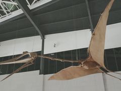 -湖南省地质博物馆