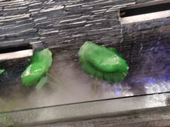 -大榕树下顺德菜(融创茂店)