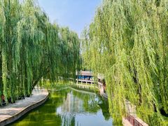 -团结湖公园