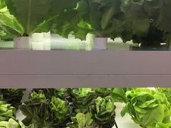 -盒马鲜生(大成店)