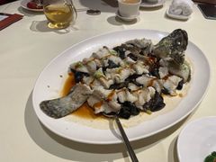 古法蒸老虎斑-利苑酒家(金宝店)