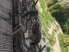-宁波野生动物园