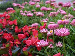 -福田红树林生态公园