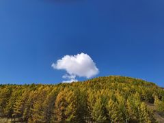 -塞罕坝国家级自然保护区