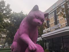 -西安电影制片厂