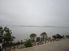 -深圳湾公园(南山区)
