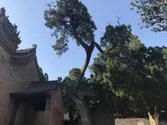 -仓颉庙