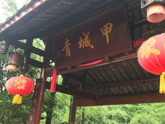 -青城甲(青城山店)