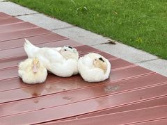 -上海交通大学(闵行校区)