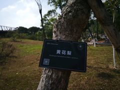 -东莞植物园