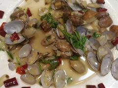 辣炒花蛤-老家黄墩小错鸡·活海鲜