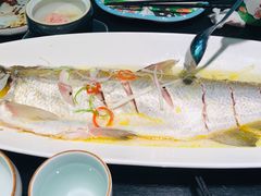 -苏帮袁Sue Cuisine(将台店)