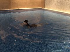 -斯博特游泳俱乐部(永安里店)