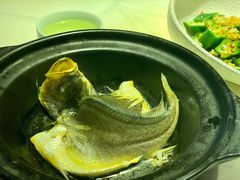 油盐焗海立鱼-百味馆·粤菜·湛江菜(后海花园店)