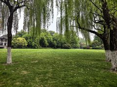 -柳浪闻莺公园