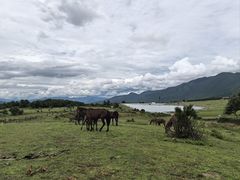 -玉湖村