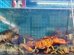 -船奇蒸汽海鲜·闽菜(八市海鲜总店)