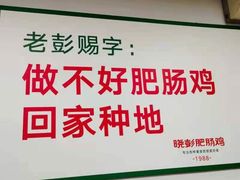 -晓彭肥肠鸡·泡椒鸡火锅(水木天地店)